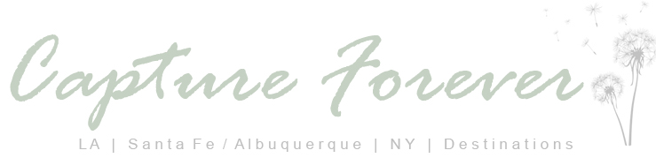 blog.CaptureForever.com logo