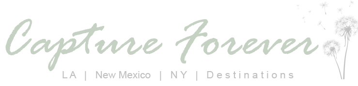 blog.CaptureForever.com logo